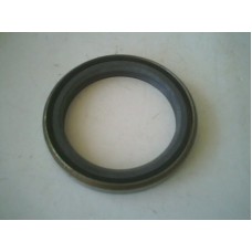 AD28381 TEKER KEÇE 